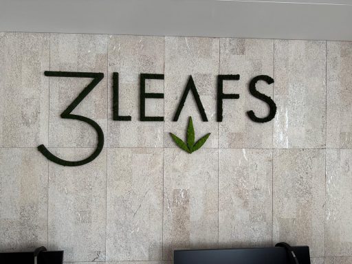 Montage Logo